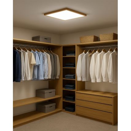LED Stropní svítidlo LED/40W/230V 3000/4000/6500K 50x50 cm béžová